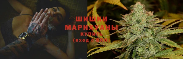 амф Арсеньев