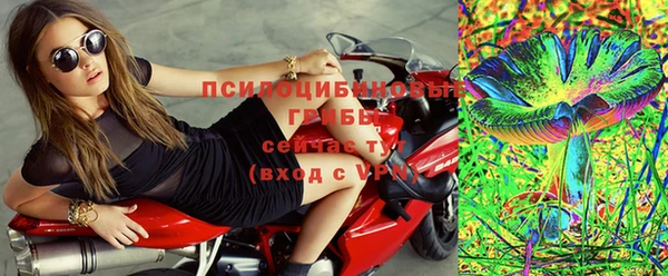 амф Арсеньев