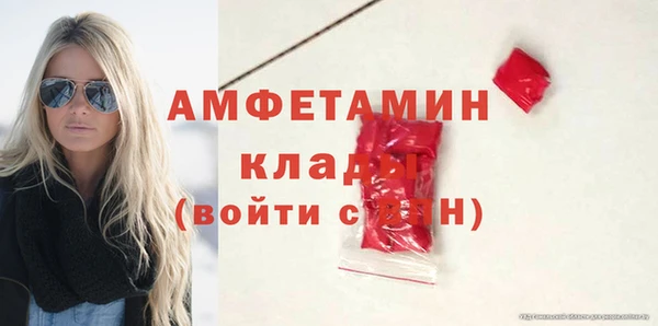 амф Арсеньев