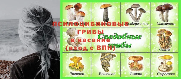 эйфоретик Армянск