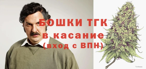 амф Арсеньев