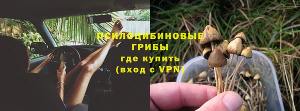 амф Арсеньев