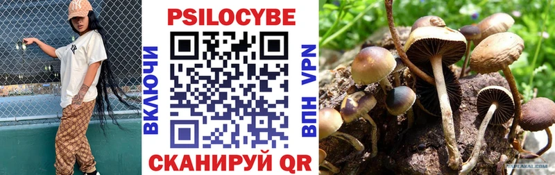 Галлюциногенные грибы MAGIC MUSHROOMS Гулькевичи